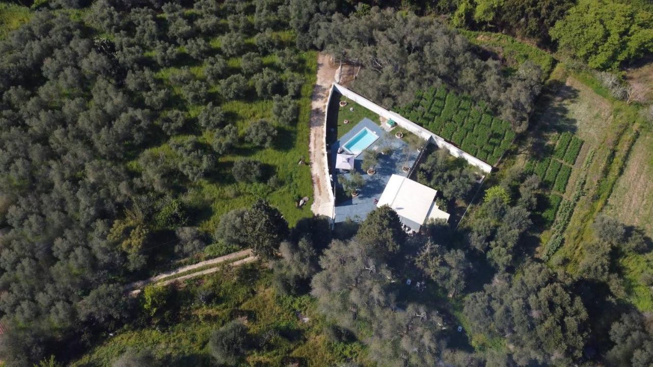 Villa Gardiki For2 Halikounas ภายนอก รูปภาพ